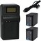 DMK Power 2 x NP-FV100 3700mAh battery and TC1000 Battery Charger Compatible with Sony HDR-CX150 HDR-CX150V DCRSX44R DCRSX44L XR550E XR350E XR150E.etc