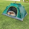 Camping Tent for 3-4 Person, Easy Instant Pop Up Tent Automatic Tent, Assorted Color