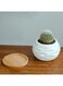 Generic 6 Pcs Geometric Succulent Planter, Set Of 6 White Ceramic Succulent Cactus Wave Design Planter Pots With Bamboo Tray(Plants Not Included)