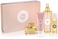 Armaf Vanity Femme Essence 4 Piece Gift Set For Women: Eau De Parfum 100ml + Body Lotion 100ml + Fragrance Body Spray 250ml + Perfumed Body Spray 50ml