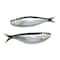 Sardine Defrosted