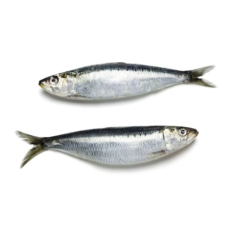 Sardine Defrosted