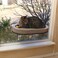 K&amp;H Universal Mount Kitty Sill With Cardboard Track 14"X24"