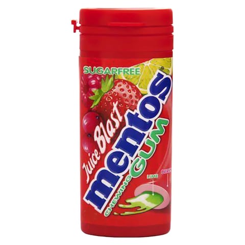 Mentos Sugar Free Chewing Gum - 24 gram