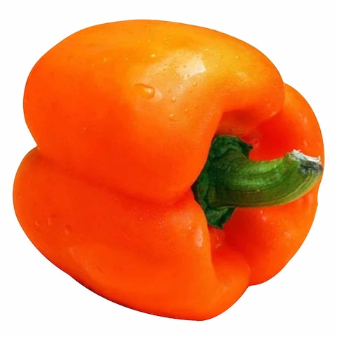 Capsicum Orange