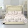 In House Lisbon Velvet Bed Frame - Queen - 200x160 cm - Beige