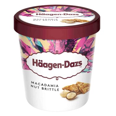 Haagen Dazs Macadamia Nut Brittle Ice Cream 100ml