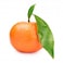 Imported Nova Mandarin