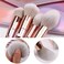 10-Piece Metal Makeup Brush Set Rose Gold
