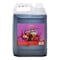 Pep Mixed Fruit Drink 5L