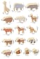 Woody Buddy - Animals Set