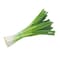 Spring Onion Bunch