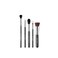 Sigma Beauty Sigma Most-Wanted Brush Set