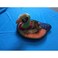 Nutrapet Pheasant Dog Toy