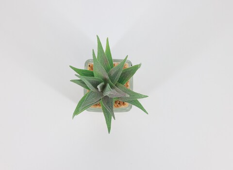 Artificial succulent bonsai -Model 01