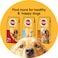 Pedigree Vital Protection Beef and Vegetables Flavour Dry Food for Adult Dog, 3kg