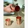 Built in Glass Copper Bottle with  2 glasses