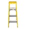 Carrefour Ladder