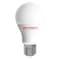 ElSewedy LED Lamp - 24 Watt - 6500 K - Cool Day Light