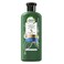 Herbal Essences Conditioner Potent Aloe And Bamboo 400ML