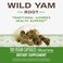 Nature'S Way Wild Yam - 100 Vegetarian Capsules