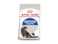 Feline Health Nutrition Indoor Long Hair 2 KG