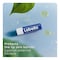 Labello Original 24 Hour Moisture Lip Balm With Shea Butter And Natural Oils 4.8g
