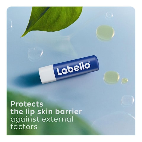 Labello Original 24 Hour Moisture Lip Balm With Shea Butter And Natural Oils 4.8g