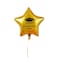 Hootyballoo Gold Star Well Done 20" Foil Balloon