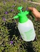 ABBASALI Indoor Watering Can Gardening Watering Cans Household Large Watering Tools Large Capacity Long Mouth Spray Bottle 5 Liters Watering Cans (Size : 10L) &amp; 2 Liter Garden Sprayer A Combo Pack