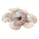 Frozen Shrimps Queen Peeled