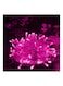 Generic Waterproof Led String Light Pink 10Meter