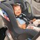Chicco NextFit Max ClearTex Extended-Use Convertible Car Seat, Shadow
