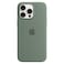 Apple Silicone Case Cover With MagSafe For iPhone 15 Pro Max Cypress