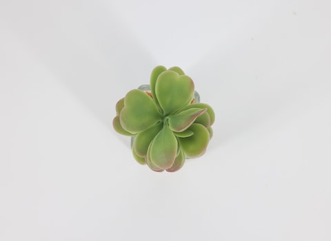 Artificial succulent bonsai-Model 09