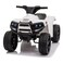 Power Wheelz Electric Ride-On ATV Quad Bike Multicolour