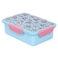 Eazy Kids Lunch Box, Gen Z Skater  - Blue, 850ml