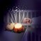 2-in-1 Starry Lights Squirrel