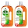 Dettol Antiseptic Disinfectant Liquid Anti Bacterial 750ml xPack of 2