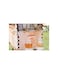 Beehive Beekeeping Wooden Bee Hive House With 7 Pieces Beehive Frame
