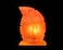 Geohoney Himalayan Salt Lamp - Feather