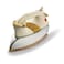 Kenwood 1200W Dry Iron   Ceramic Soleplate   DIM40.000GO   White and Gold Color
