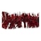 Carrefour Pet Broadside Shiny Tinsel Red