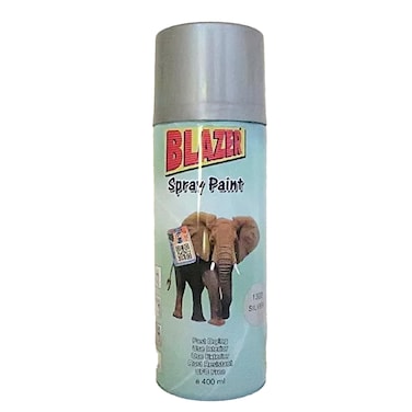 Blazer Spray Paint 36 Silver