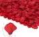 Party Time 1000pcs Artificial Rose Petals   Red Rose Petals for Romantic Decorations Special Night, Wedding, Anniversary   Valentines Day Decorations
