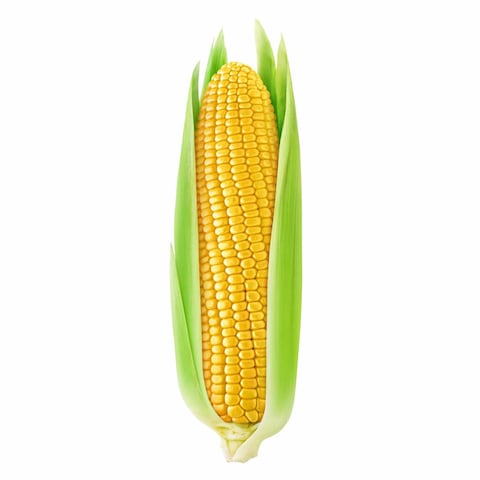 Sweet Corn