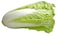 Chinese Cabbage