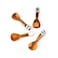 Wooden Spice Spoon B06