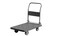 Platform Trolley, 300kg load capacity