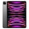 Apple iPad Pro M2 11-Inch 8GB RAM 256GB Wi-Fi+Cellular Space Grey